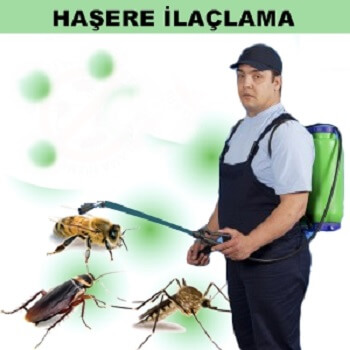 Yığılca Böcek İlaçlama